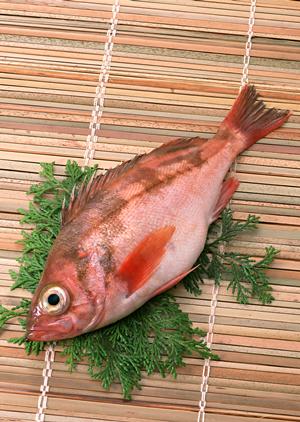 南砂町店｜おいしさとお手頃価格の宅配ピザ
