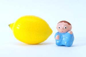 【2025年最新版】テイクアウト容器の対策完全ガイド｜衛生・環境・コスト削減を実現する最適ソリューション