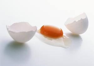 名古屋名物ひつまぶしが味わえる！しら河店舗案内とその魅力について