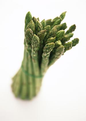 2025年版 神保町の絶品ラーメンガイド：おすすめ店と絶対外さない攻略法